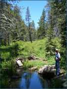 relaxing creek